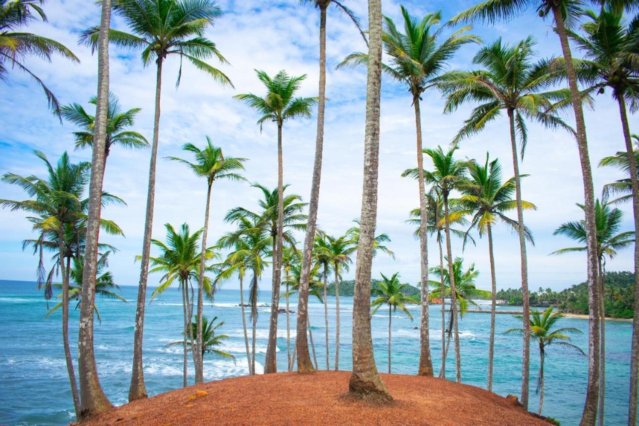 Coral Beach Hotel Mirissa Bagian luar foto